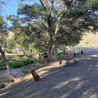 Tinnemaha Creek Campground ico