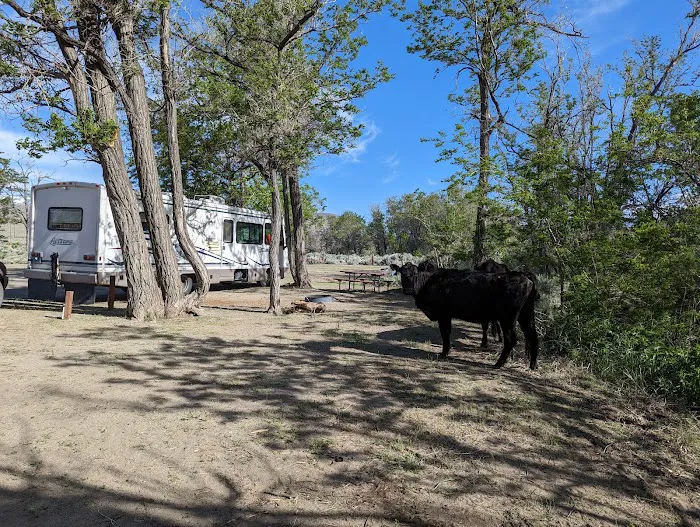 Tinnemaha Creek Campground Picture 7
