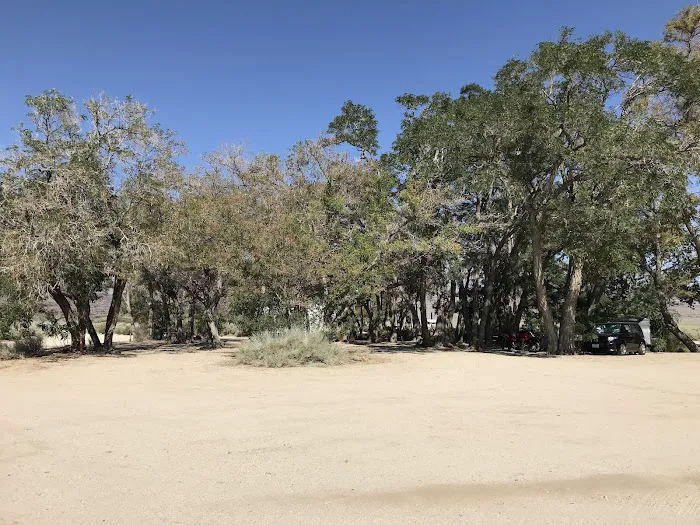 Taboose Creek Campground Picture 9