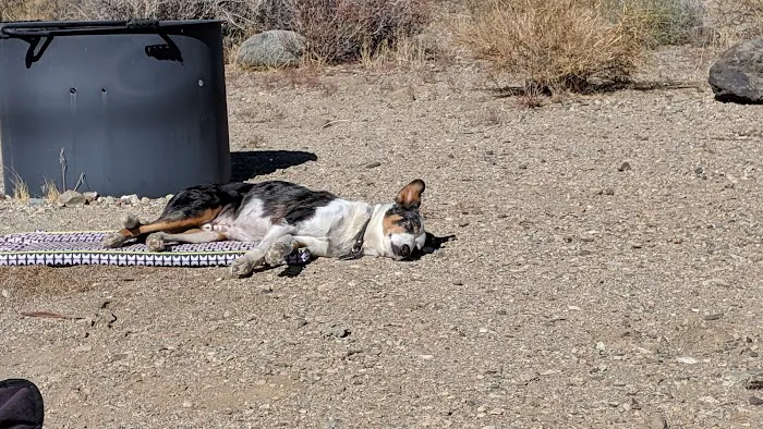Goodale Creek Campground Picture 3