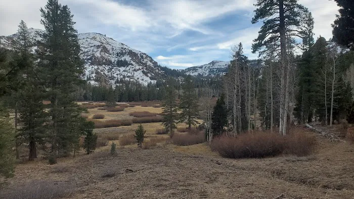 Eagle Meadows Camp Ground Picture 2