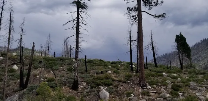 Eagle Meadows Camp Ground Picture 4