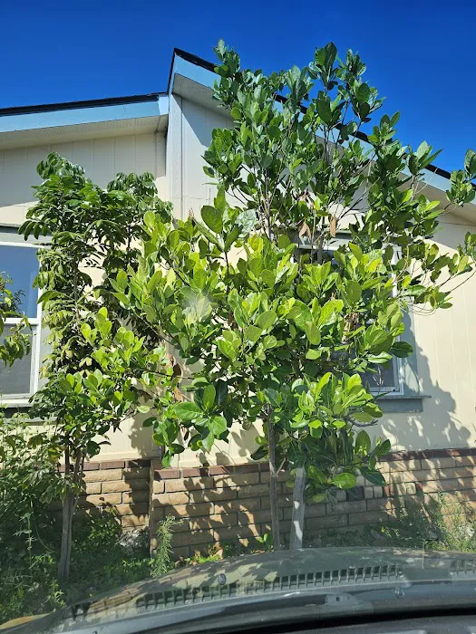 Villa Capri Mobile Estates Picture 9