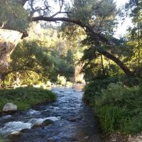 Dardanelle Campground ico