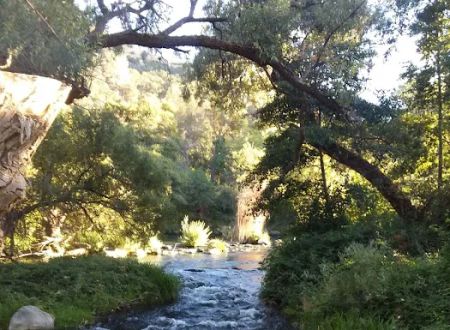 Dardanelle Campground