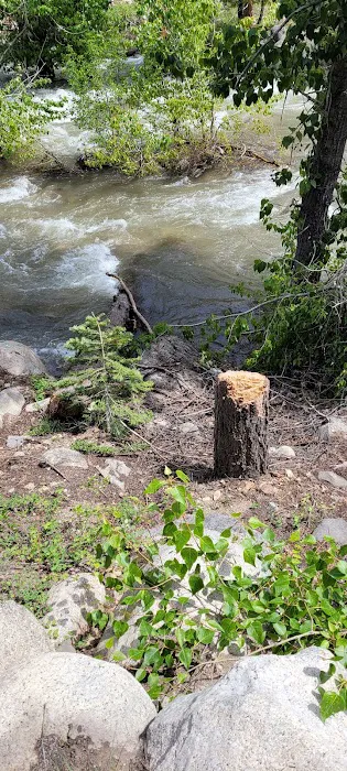 Dardanelle Campground Picture 9