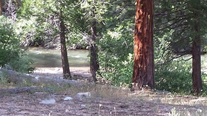 Dardanelle Campground Picture 2
