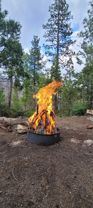 Dardanelle Campground Picture 6