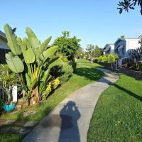 Lake Park La Mirada ico