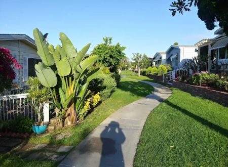 Lake Park La Mirada