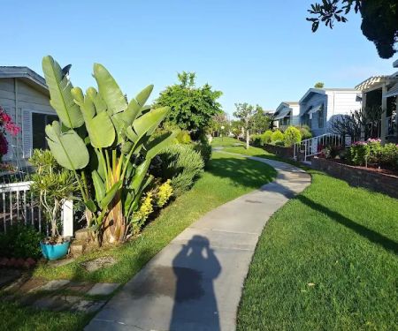 Lake Park La Mirada