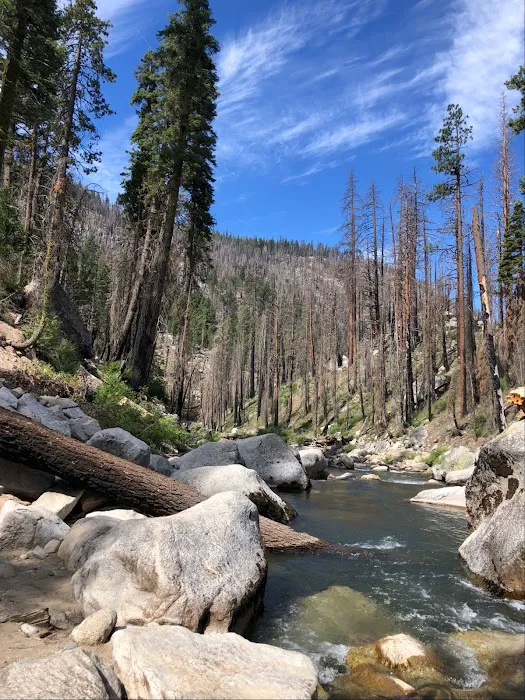 Brightman Flat Campground Picture 3