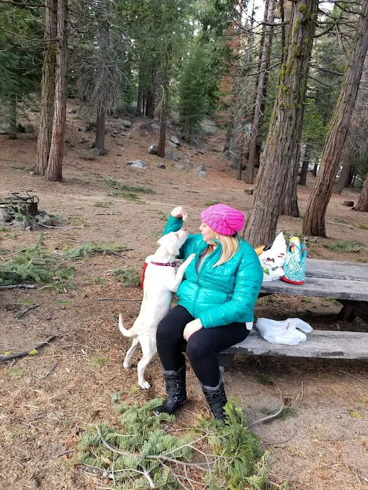 Brightman Flat Campground Picture 9