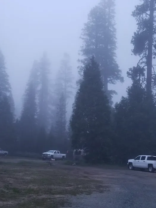Brightman Flat Campground Picture 6