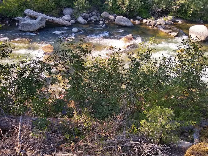 Pigeon Flat Campground Picture 3