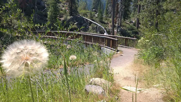 Pigeon Flat Campground Picture 8