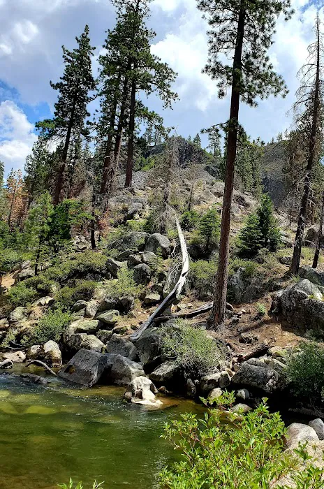Pigeon Flat Campground Picture 1