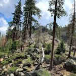 Pigeon Flat Campground