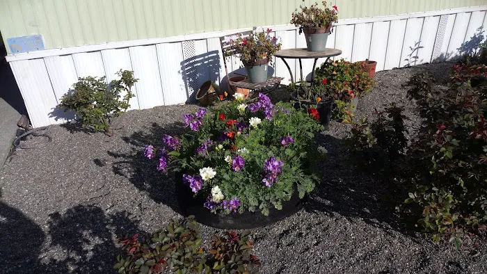 Youngstown Mobile Home Park Picture 7