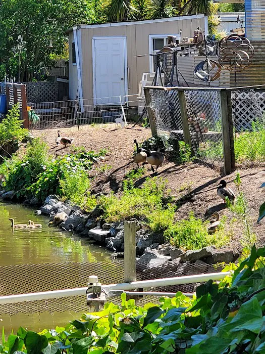 Leisure Lake Mobile Home Park Picture 5