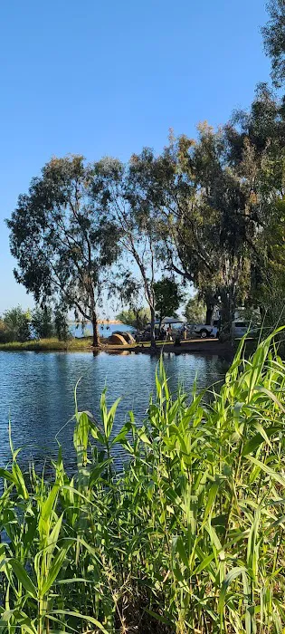T - Island Campground Picture 1