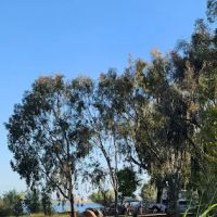 T - Island Campground ico
