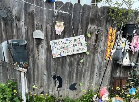 Driftwood trailer park