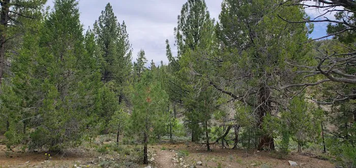 Doble PCT Trail Camp Picture 6