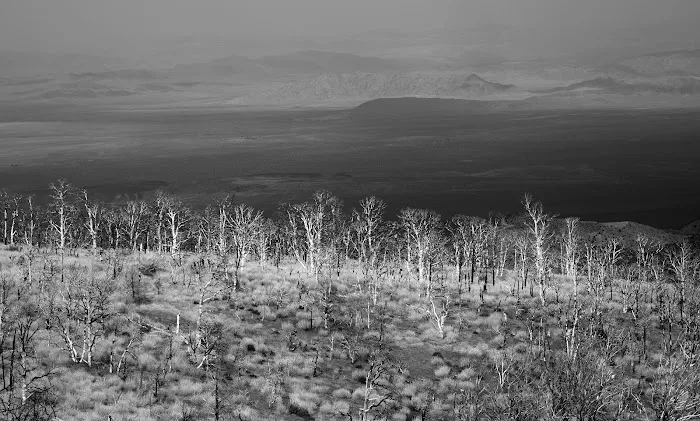 Doble PCT Trail Camp Picture 2
