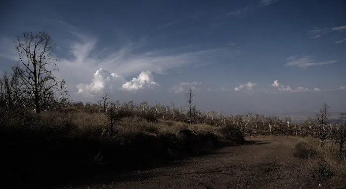Doble PCT Trail Camp Picture 3