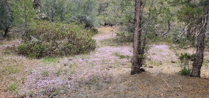 Doble PCT Trail Camp Picture 8