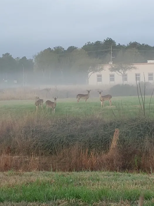 Corral RV Park Picture 2