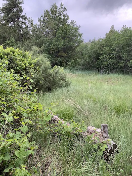 Greenhorn Meadows Park Campsites Picture 6