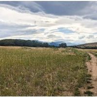 Greenhorn Mountain Creek Campsite ico