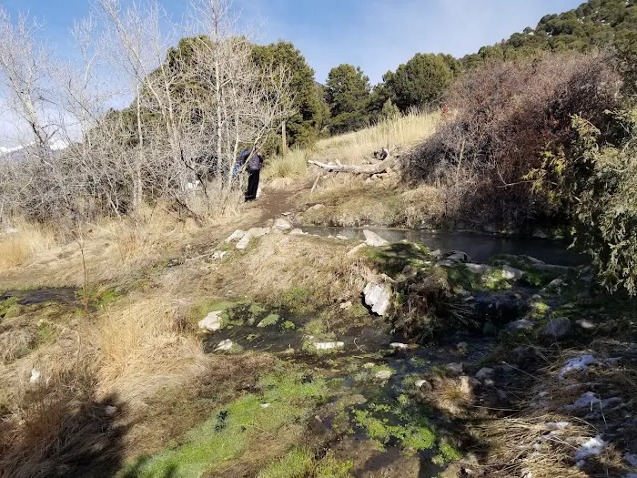 Orient Land Trust/Valley View Hot Springs Picture 7