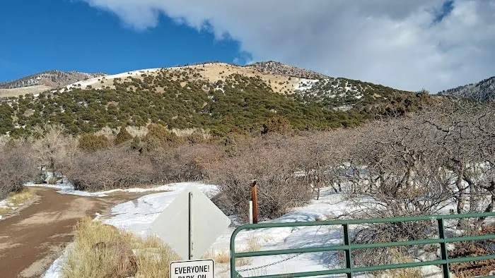 Orient Land Trust/Valley View Hot Springs Picture 10