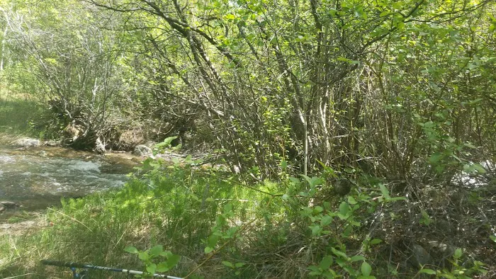 Cotton Creek Trail Head Picture 6