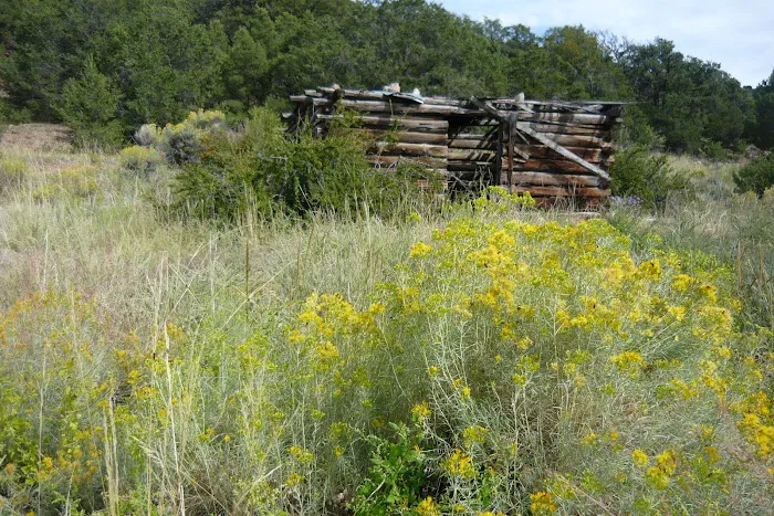 Cotton Creek Trail Head Picture 7