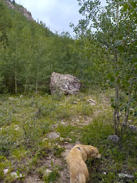 North Crestone Creek Campground Picture 7