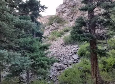 North Crestone Creek Campground
