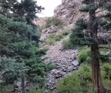 North Crestone Creek Campground