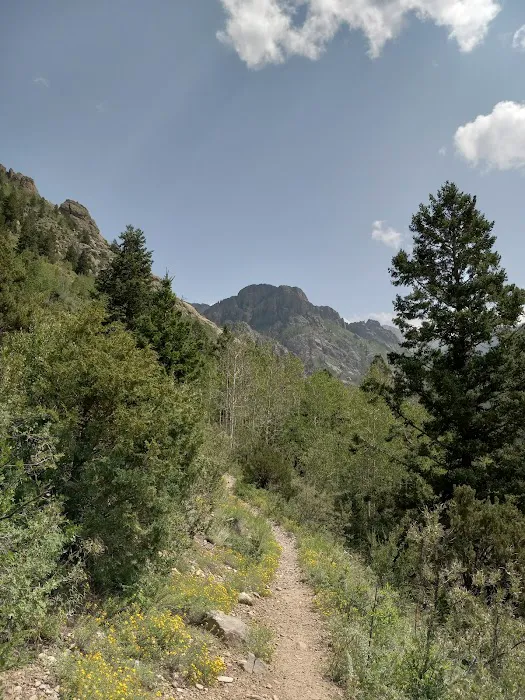 North Crestone Creek Campground Picture 9