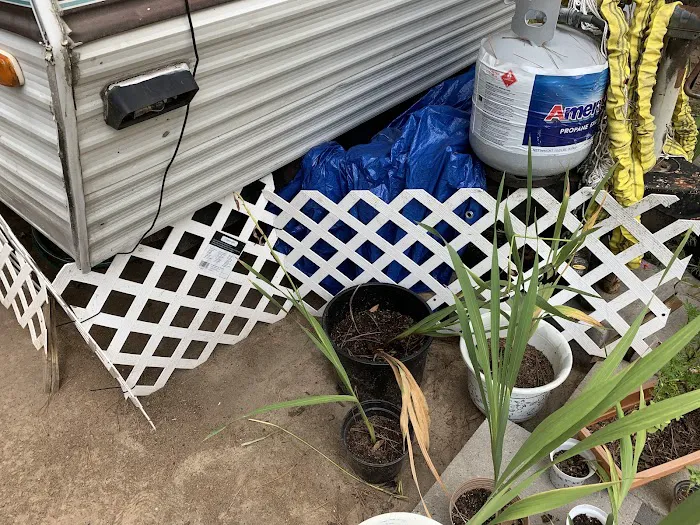 Spring Oaks Mobile Home & RV Prk Picture 4