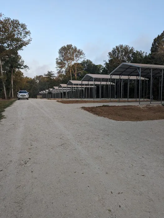 Blue Horizon RV II Picture 8