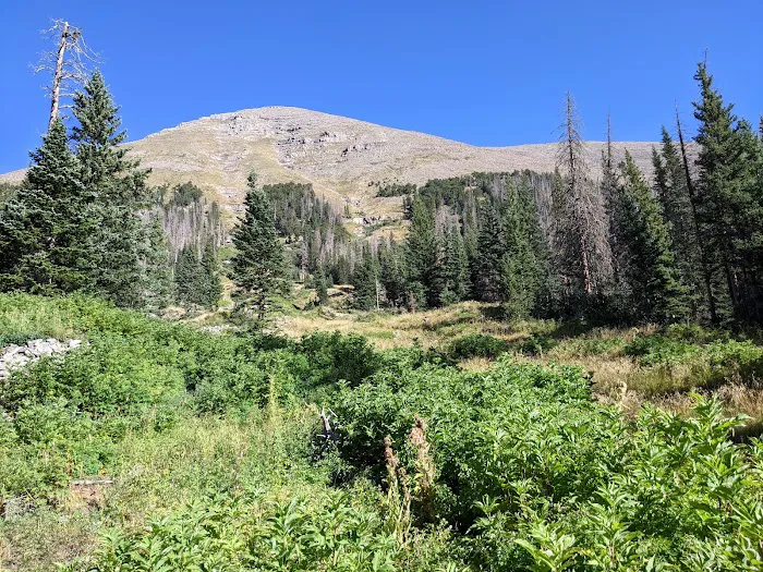 South Colony Basin Picture 4