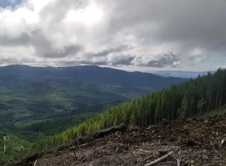 Nicolai OHV view campground