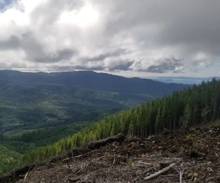 Nicolai OHV view campground