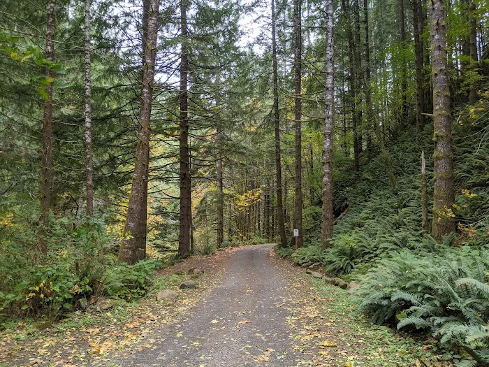 Elk Creek Campground Picture 1