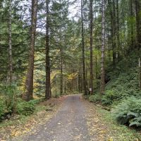 Elk Creek Campground ico