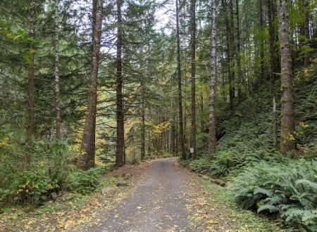 Elk Creek Campground